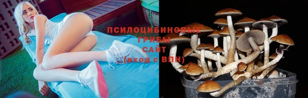 таблы Вязники